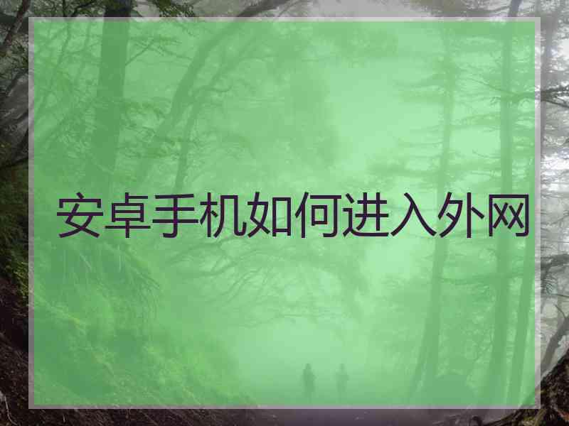 安卓手机如何进入外网