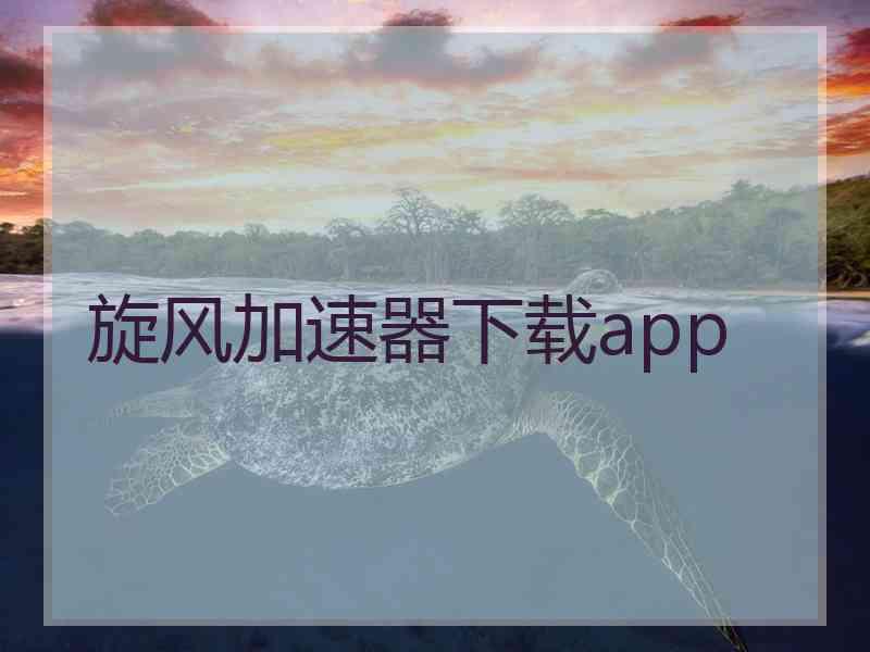 旋风加速器下载app