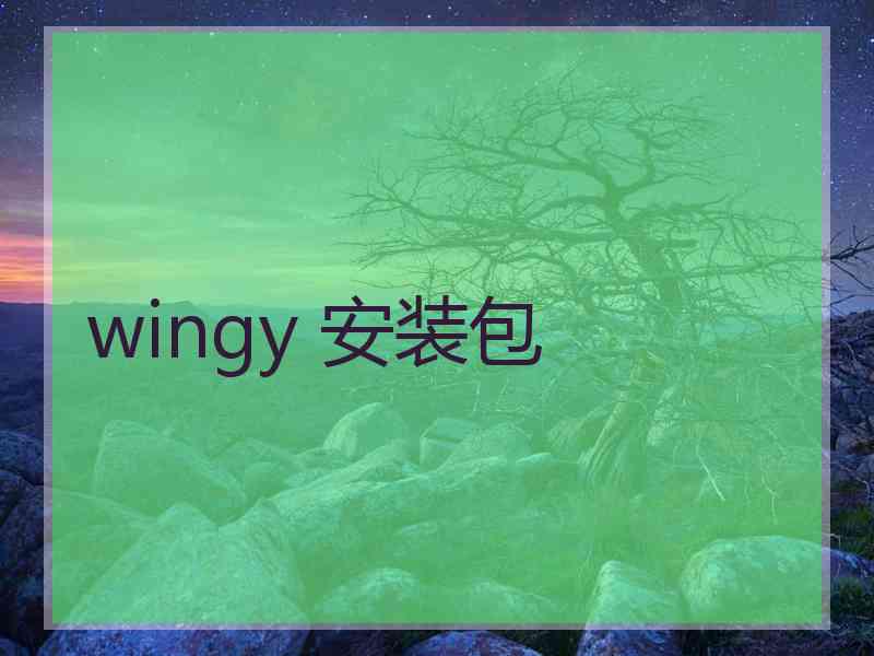 wingy 安装包
