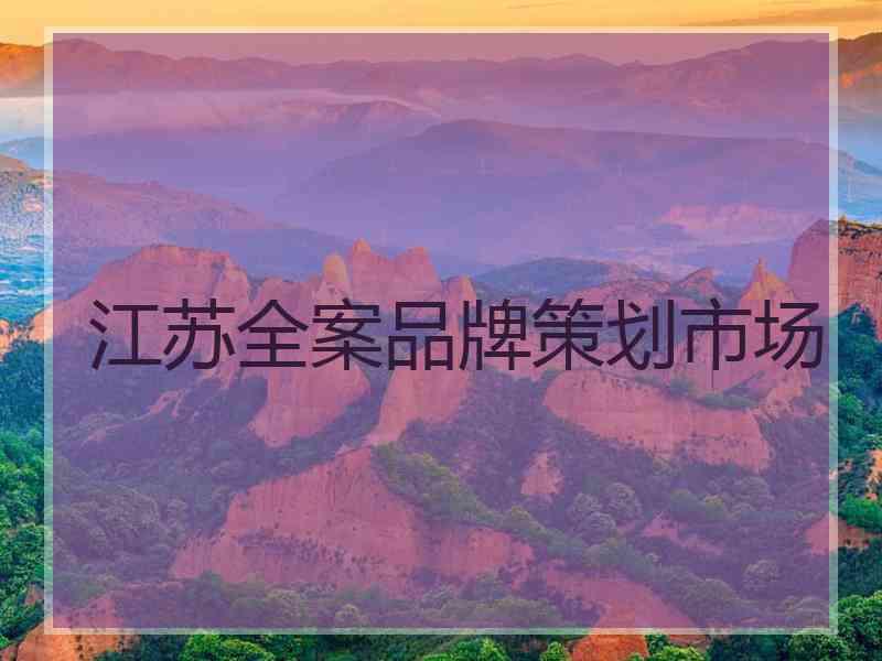 江苏全案品牌策划市场