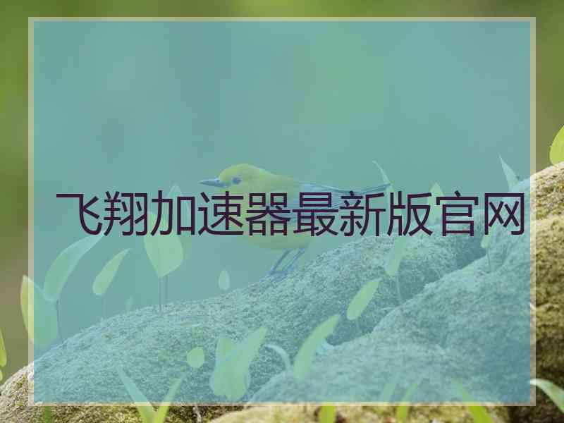 飞翔加速器最新版官网