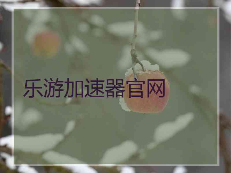 乐游加速器官网