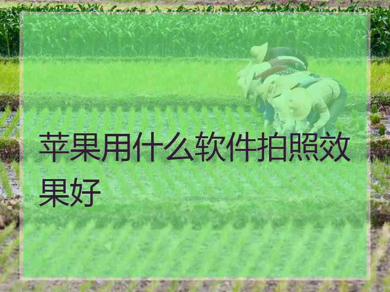 苹果用什么软件拍照效果好