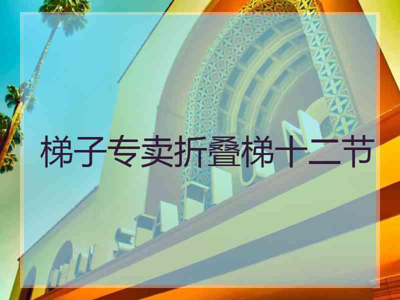 梯子专卖折叠梯十二节