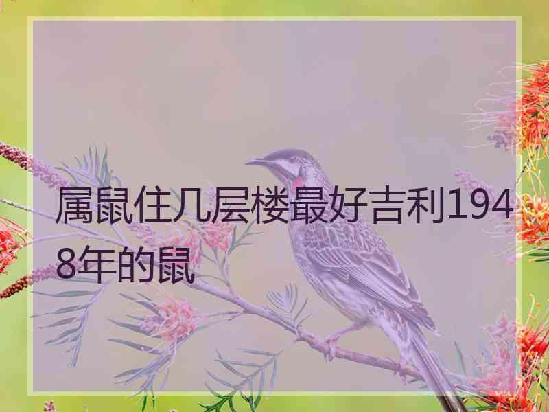 属鼠住几层楼最好吉利1948年的鼠
