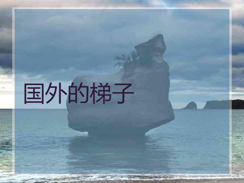 国外的梯子