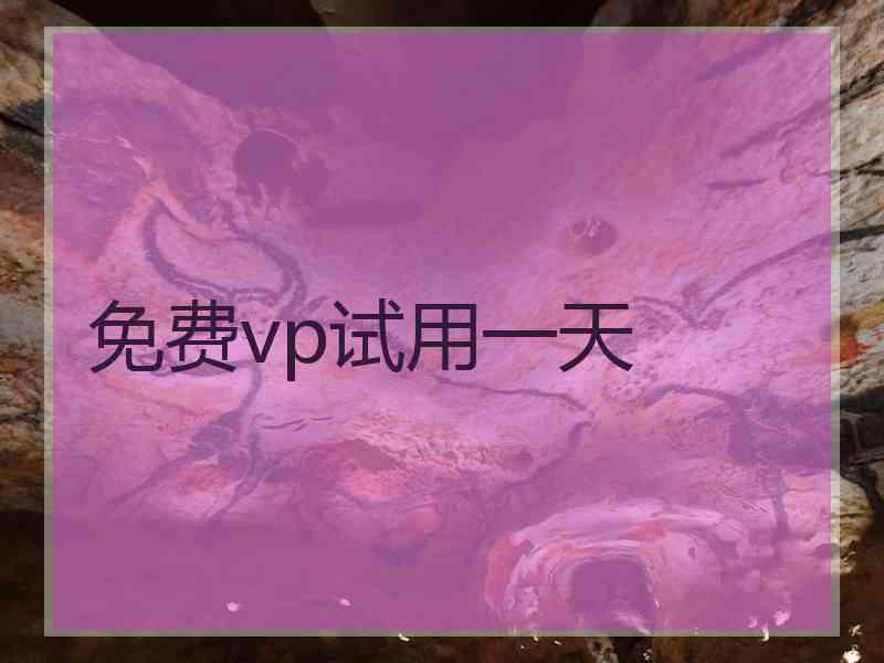 免费vp试用一天