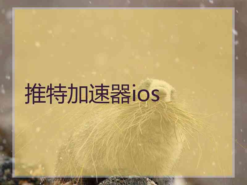 推特加速器ios