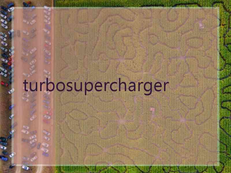 turbosupercharger