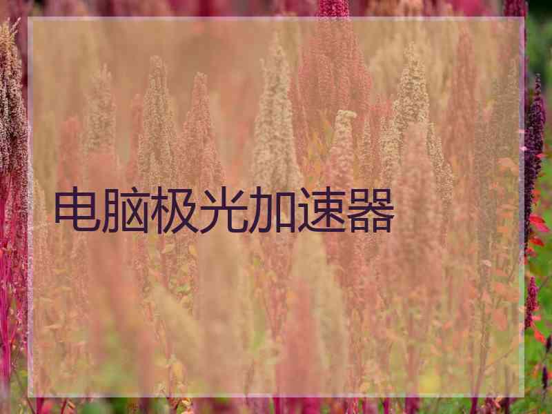 电脑极光加速器