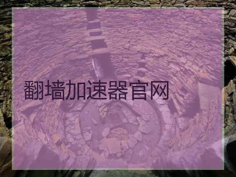 翻墙加速器官网