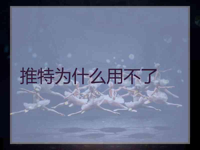 推特为什么用不了