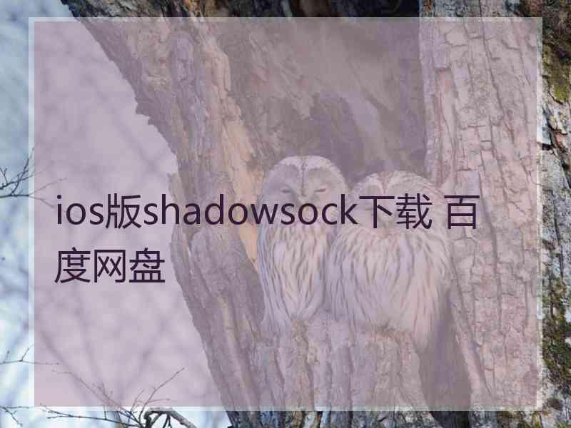 ios版shadowsock下载 百度网盘