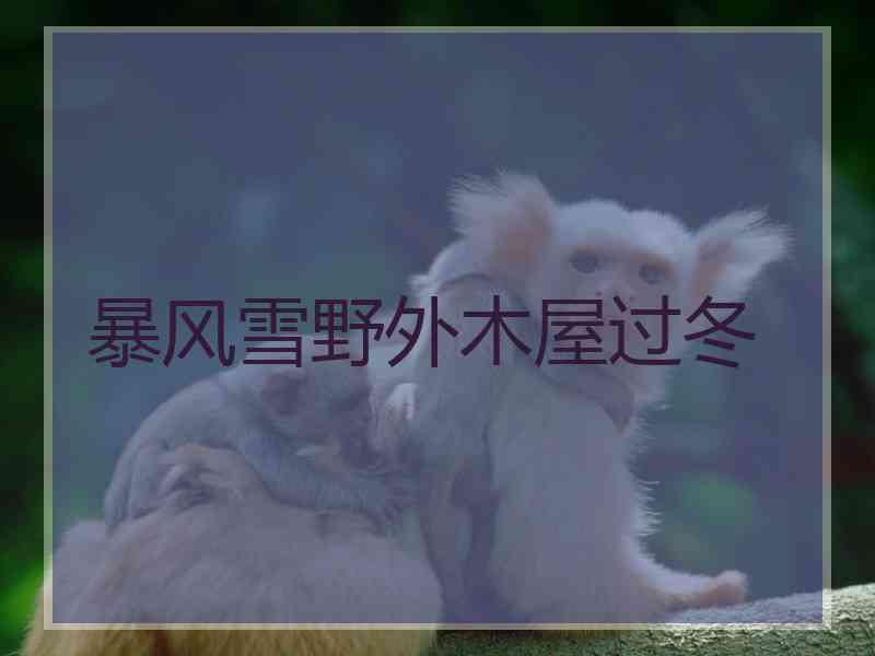 暴风雪野外木屋过冬