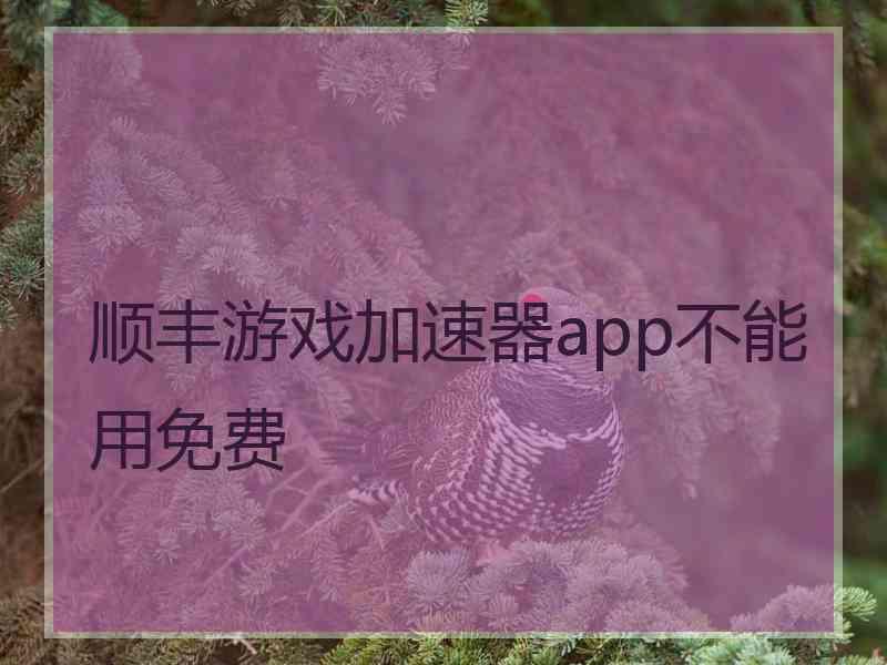 顺丰游戏加速器app不能用免费