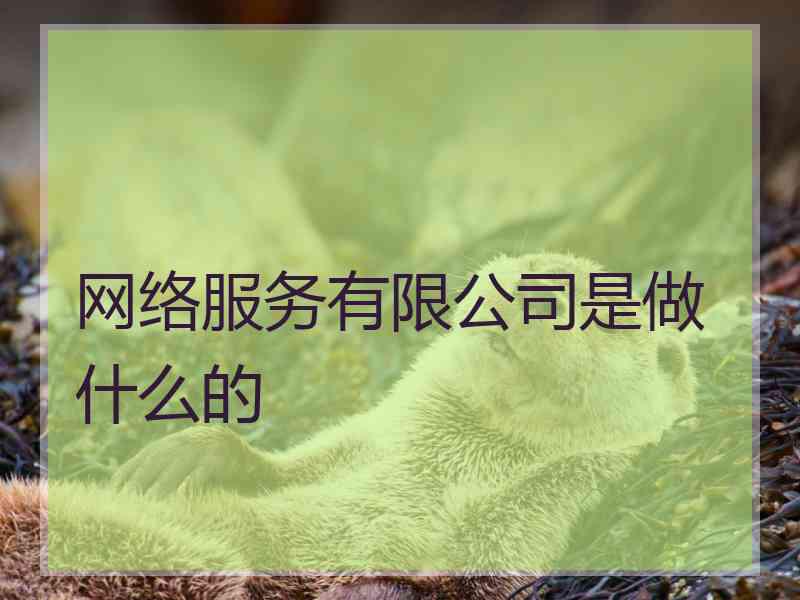 网络服务有限公司是做什么的