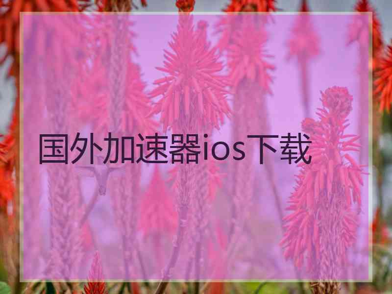 国外加速器ios下载