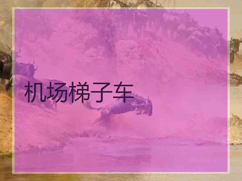 机场梯子车