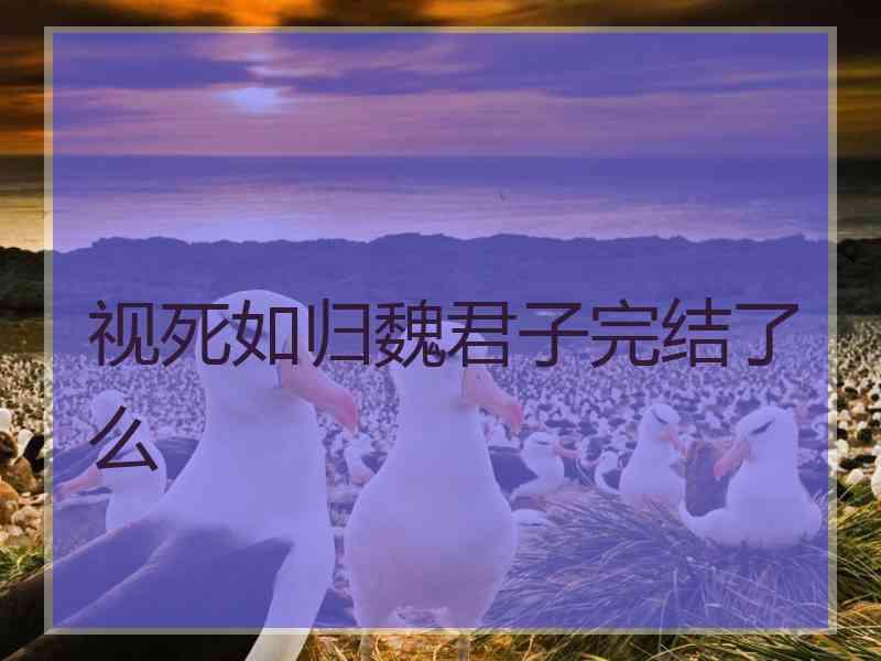 视死如归魏君子完结了么