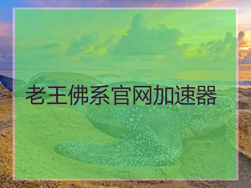 老王佛系官网加速器