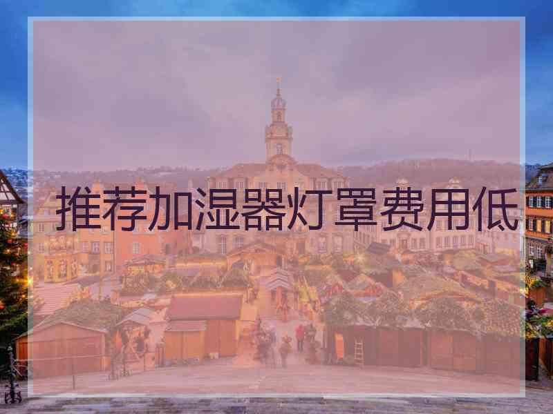 推荐加湿器灯罩费用低