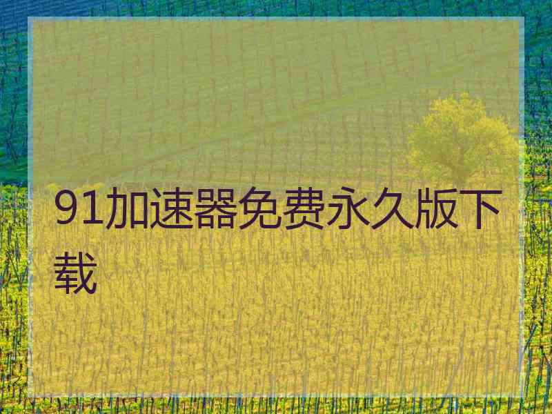 91加速器免费永久版下载