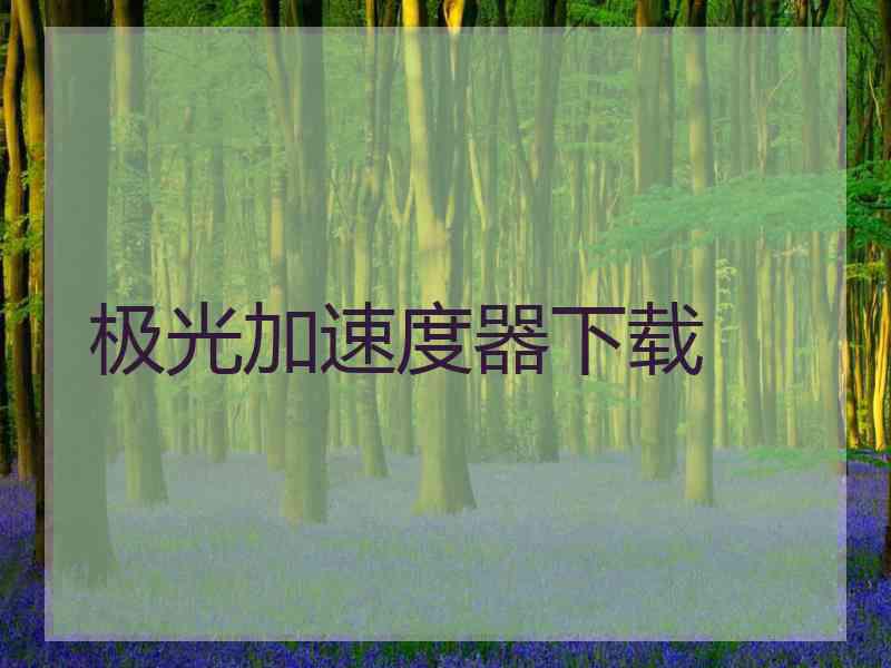 极光加速度器下载