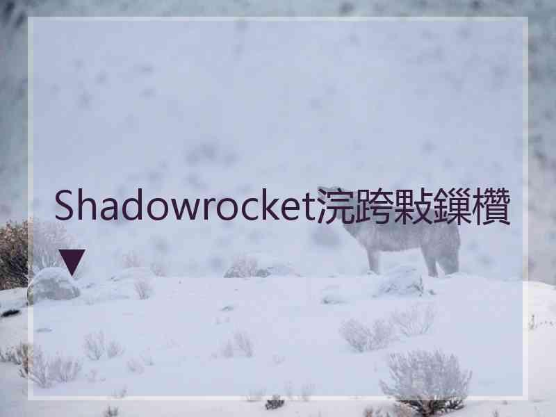 Shadowrocket浣跨敤鏁欑▼