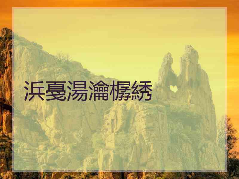 浜戞湯瀹樼綉