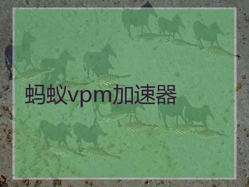蚂蚁vpm加速器