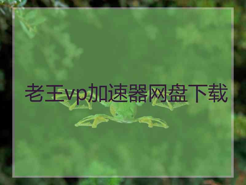 老王vp加速器网盘下载