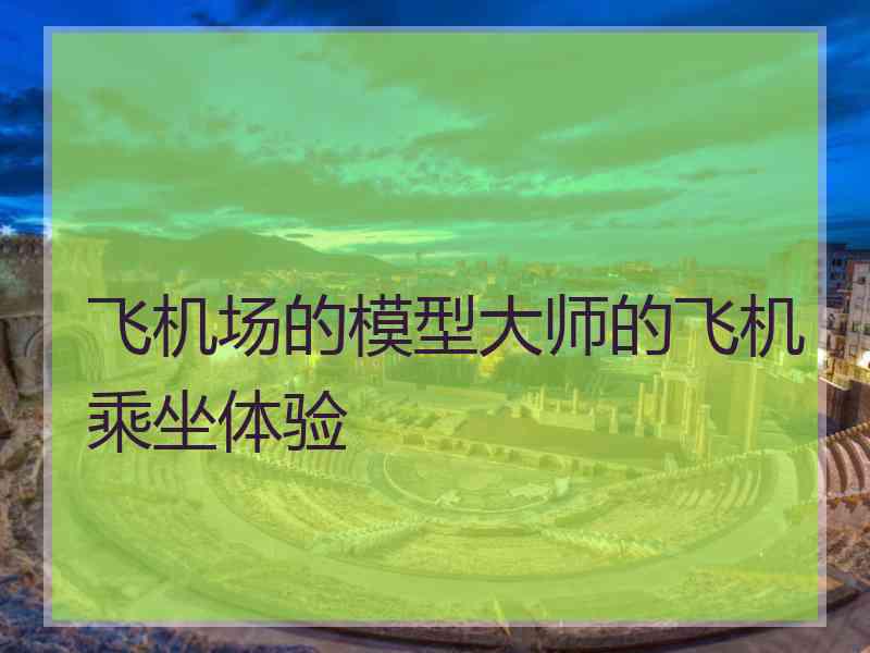 飞机场的模型大师的飞机乘坐体验