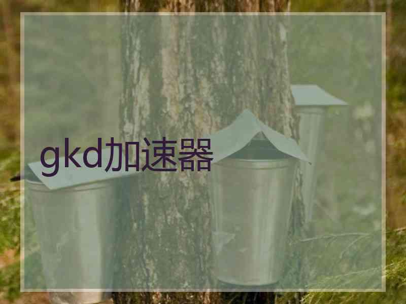 gkd加速器