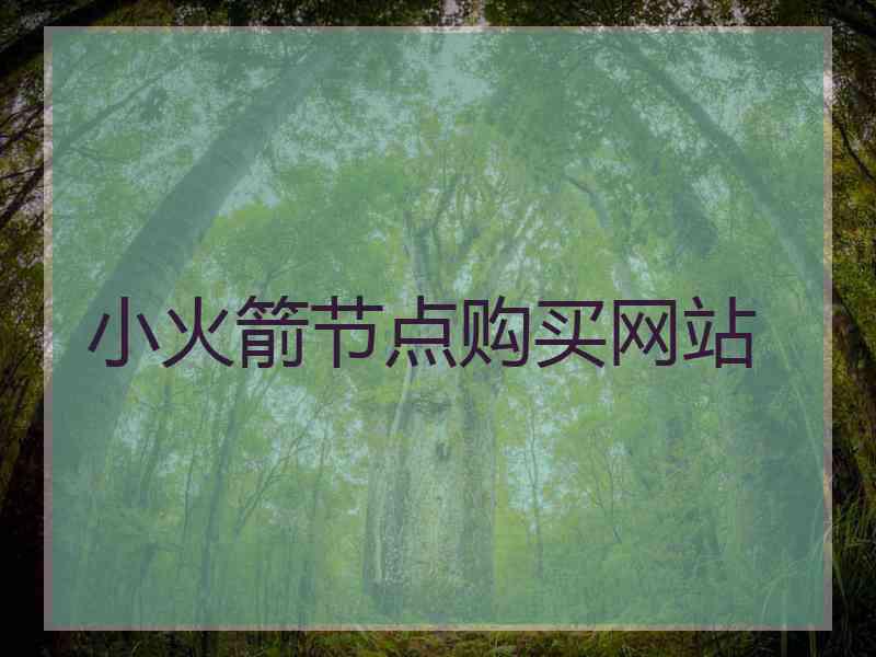 小火箭节点购买网站