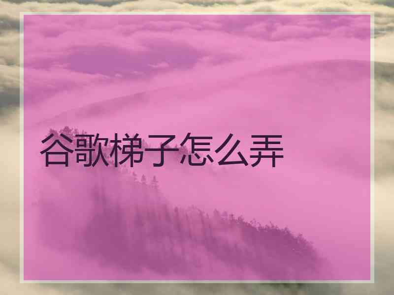 谷歌梯子怎么弄