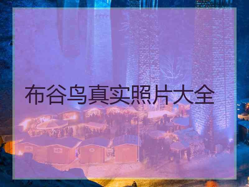 布谷鸟真实照片大全