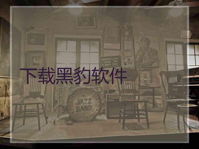 下载黑豹软件