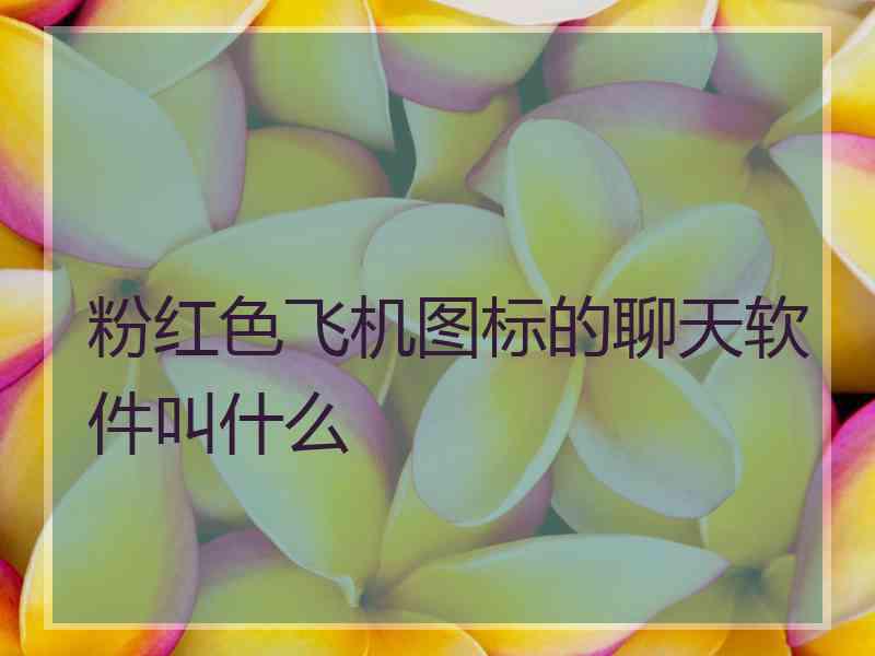 粉红色飞机图标的聊天软件叫什么