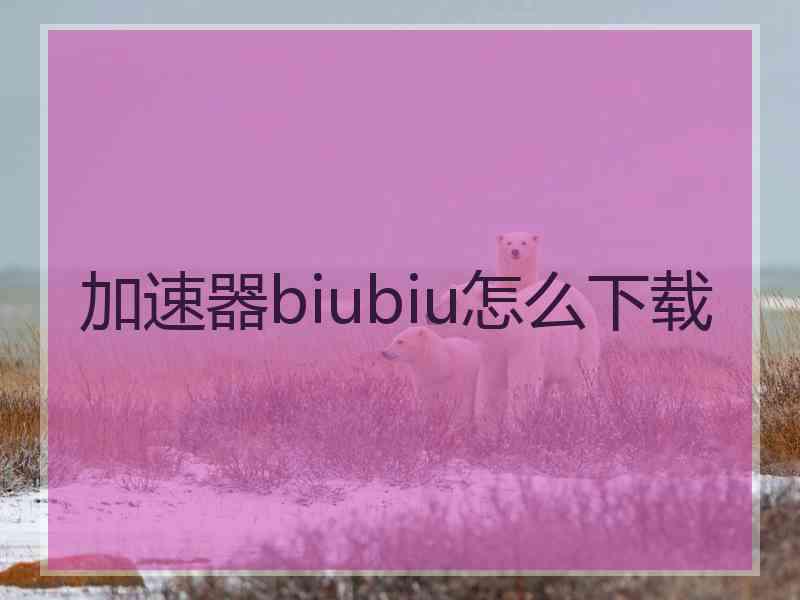 加速器biubiu怎么下载