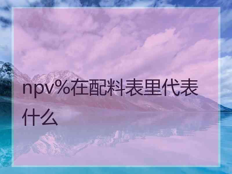 npv%在配料表里代表什么