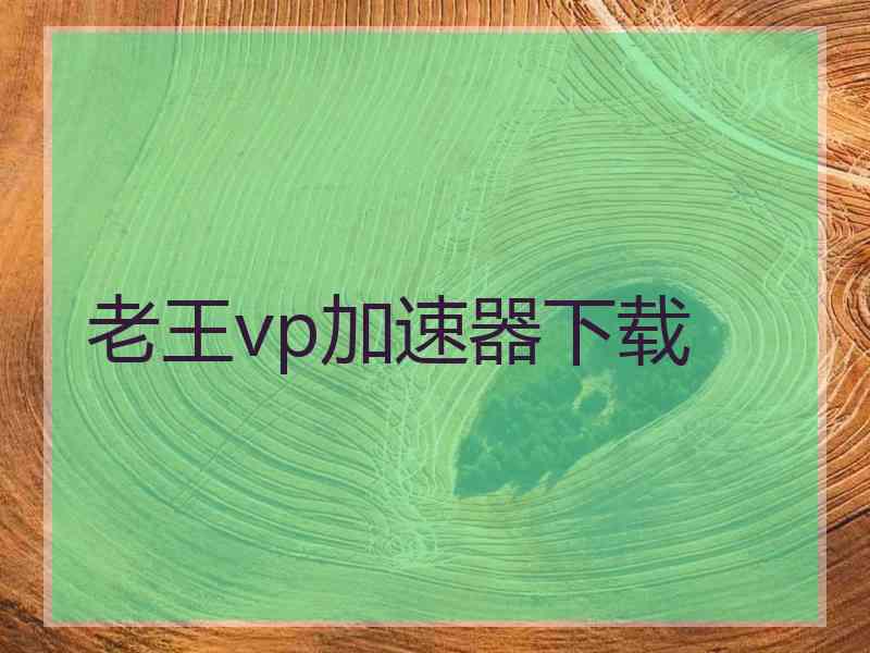 老王vp加速器下载