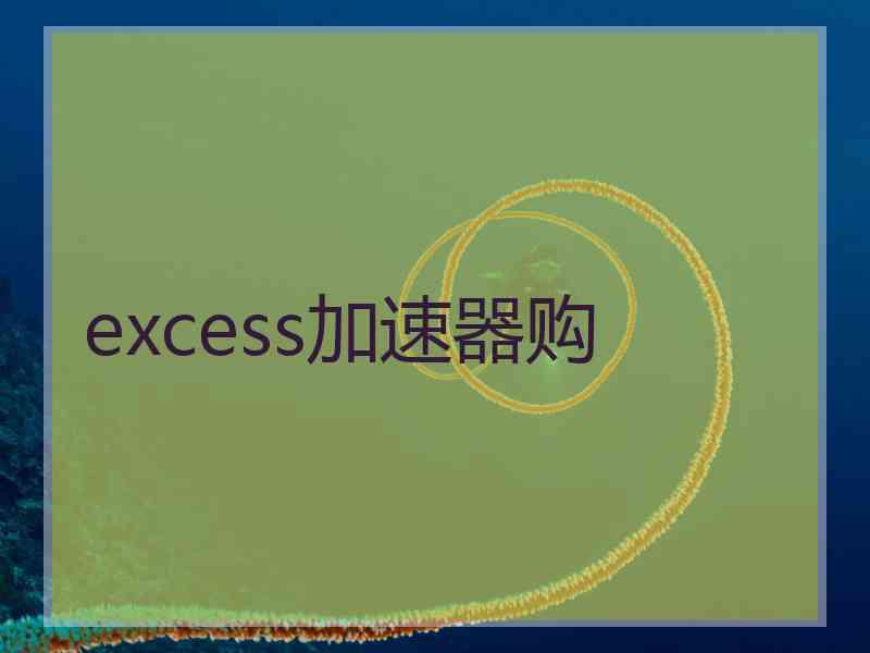 excess加速器购