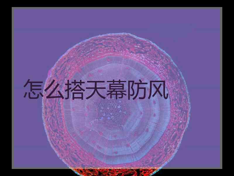 怎么搭天幕防风
