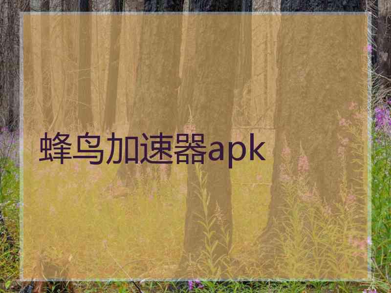 蜂鸟加速器apk
