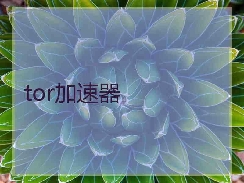 tor加速器