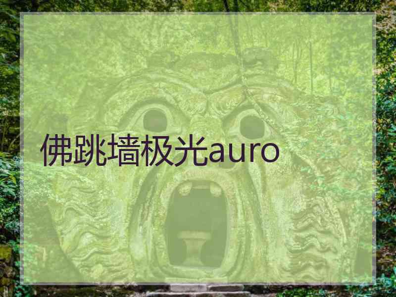 佛跳墙极光auro