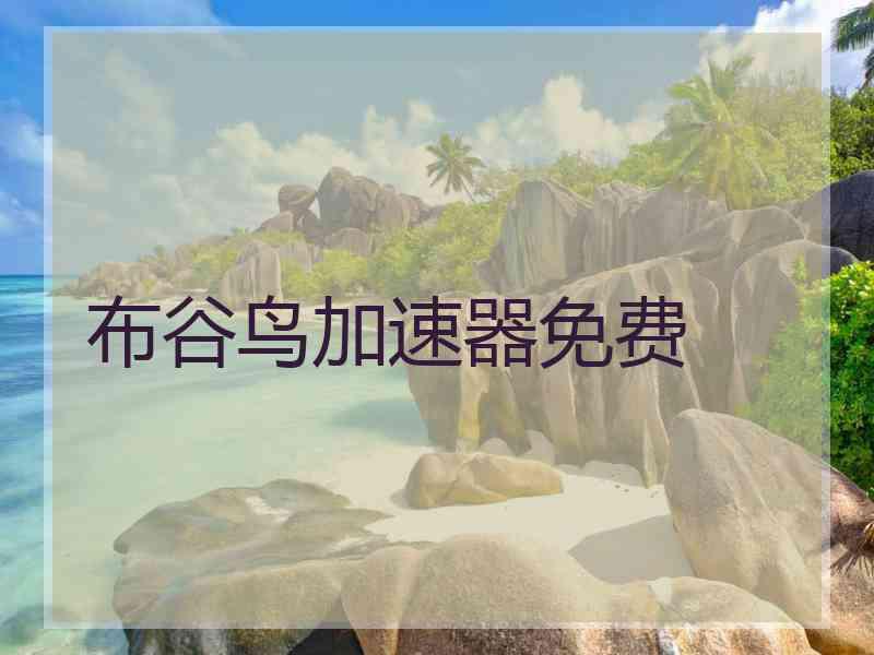 布谷鸟加速器免费