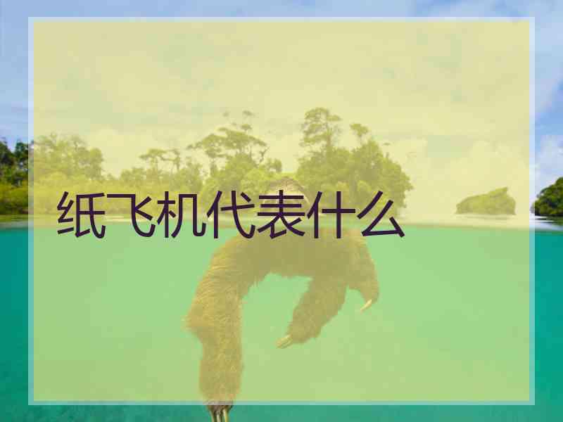 纸飞机代表什么