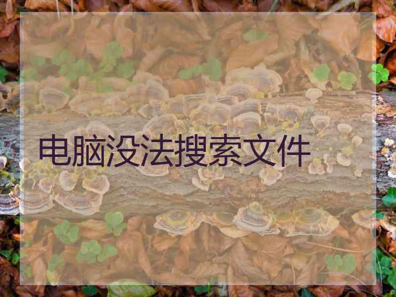 电脑没法搜索文件