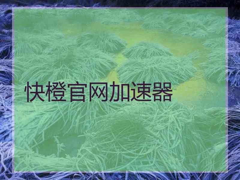 快橙官网加速器